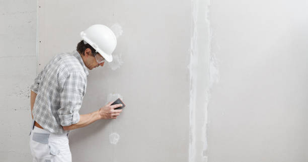 Best Post-Remediation Verification Testing  in Bloomer, WI