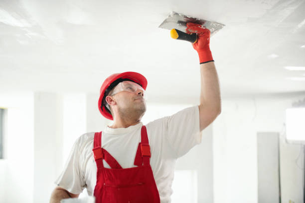 Best Black Mold Removal  in Bloomer, WI