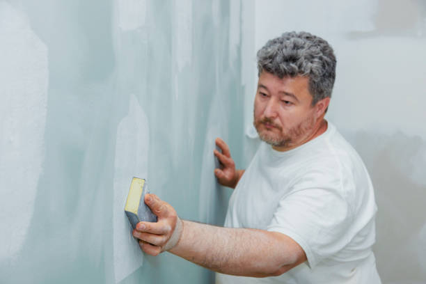Best Emergency Mold Remediation  in Bloomer, WI