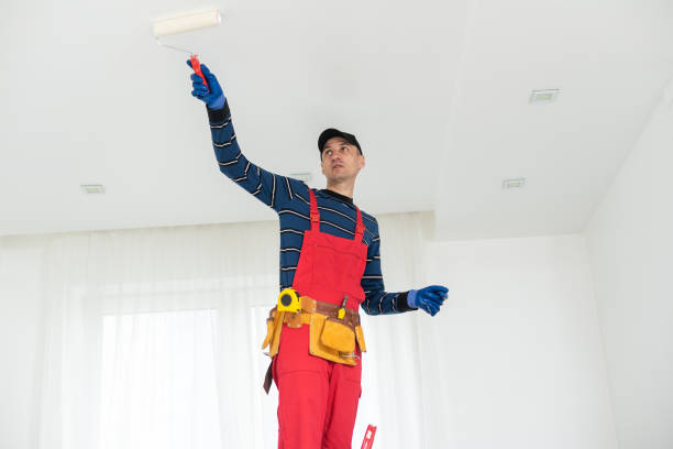 Best Mold Damage Restoration  in Bloomer, WI