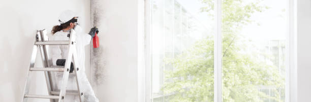 Mold Removal for HVAC Installations in Bloomer, WI